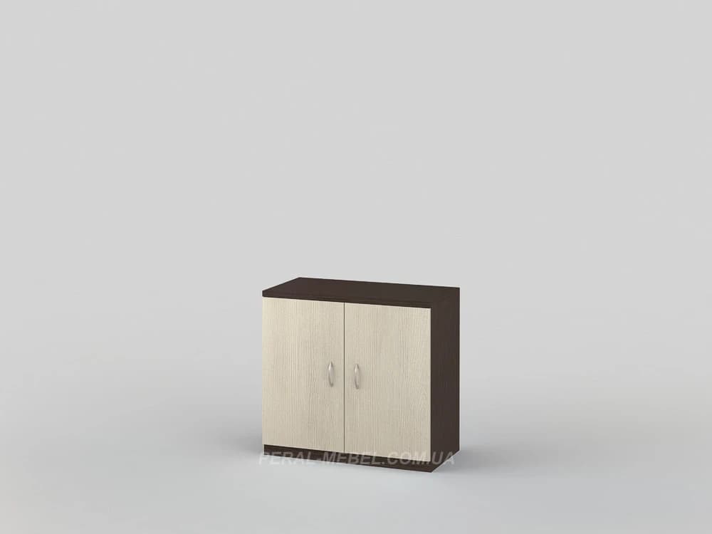 Closed cabinet with shelves 3
