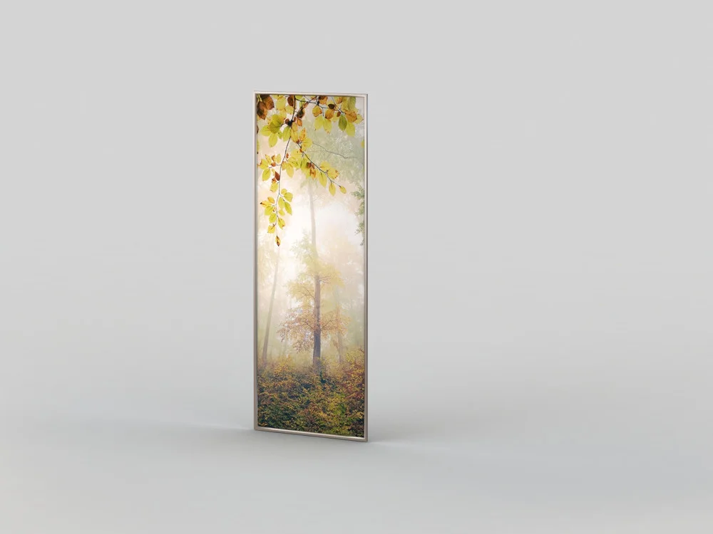 Double-door wardrobes for entrance hall 1600 cm - Image 3